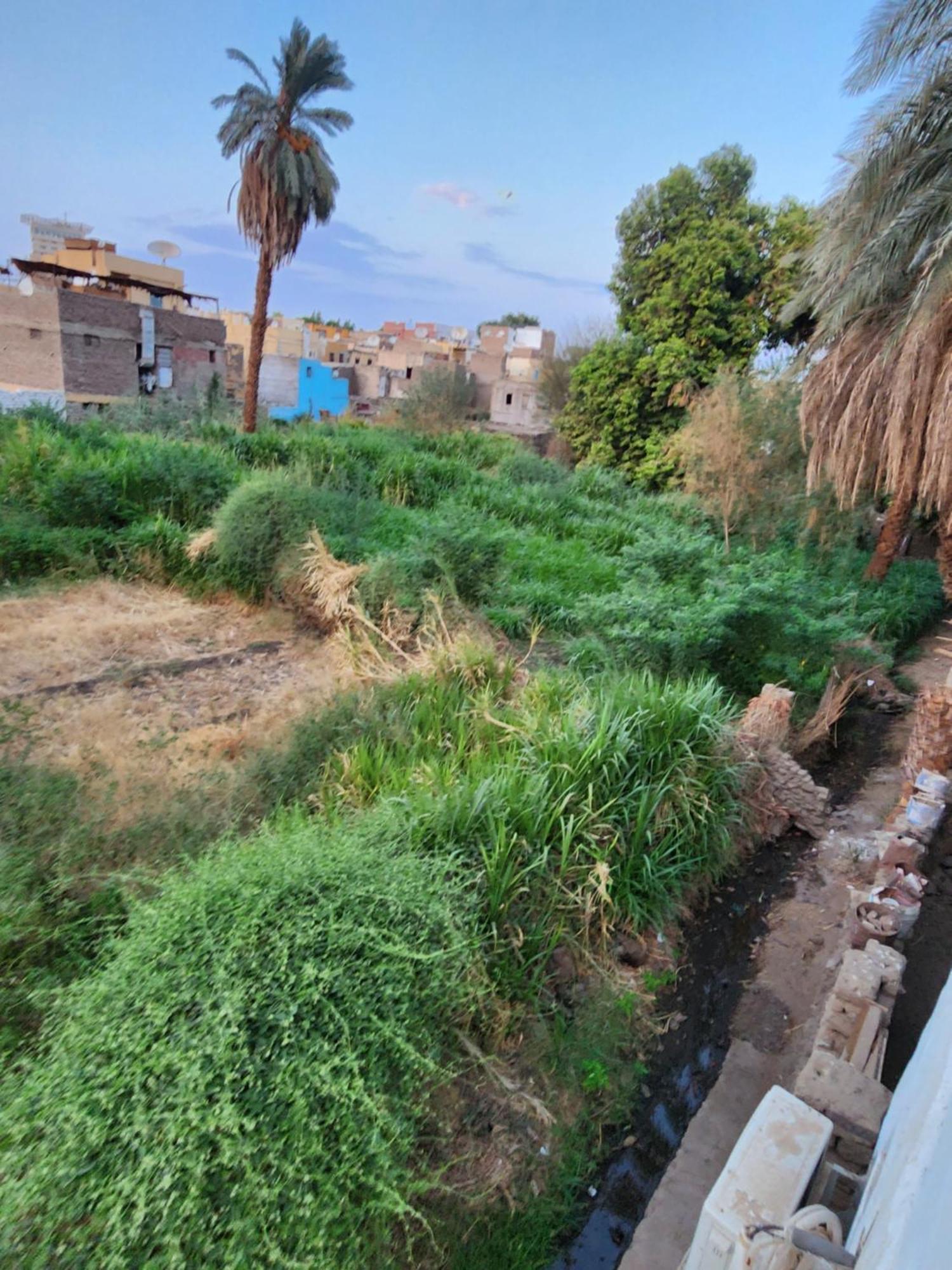 Dara Guest House Aswan Luaran gambar